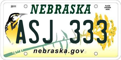 NE license plate ASJ333