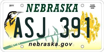 NE license plate ASJ391