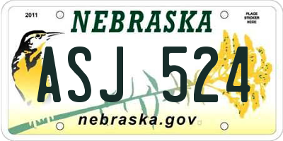 NE license plate ASJ524