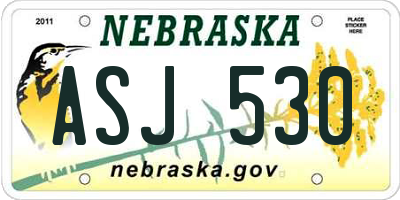NE license plate ASJ530