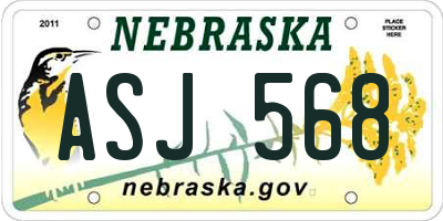 NE license plate ASJ568