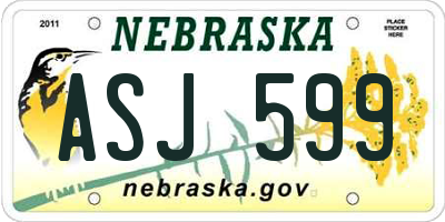 NE license plate ASJ599