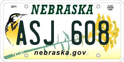 NE license plate ASJ608