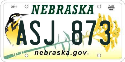 NE license plate ASJ873