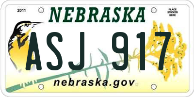NE license plate ASJ917