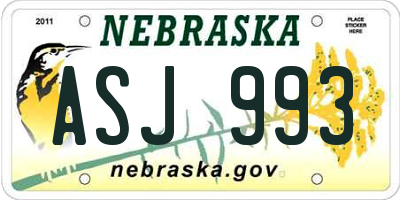 NE license plate ASJ993
