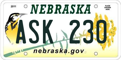 NE license plate ASK230