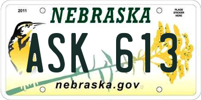 NE license plate ASK613