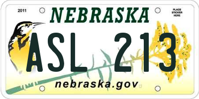 NE license plate ASL213