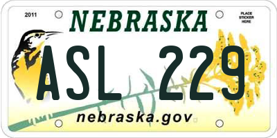 NE license plate ASL229