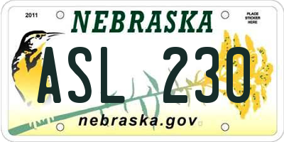 NE license plate ASL230