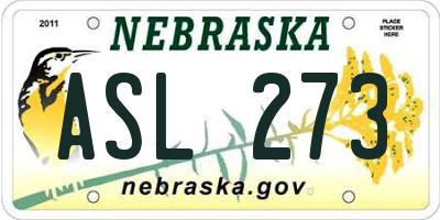 NE license plate ASL273