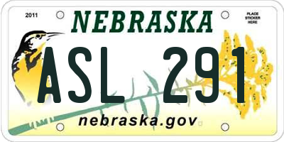 NE license plate ASL291