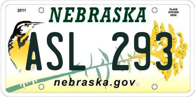 NE license plate ASL293
