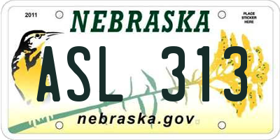 NE license plate ASL313
