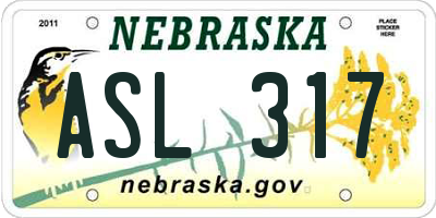 NE license plate ASL317