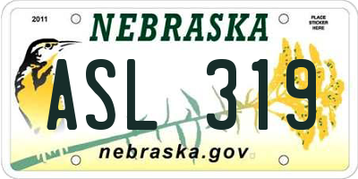 NE license plate ASL319