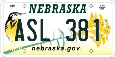 NE license plate ASL381