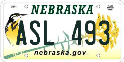 NE license plate ASL493