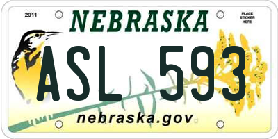 NE license plate ASL593