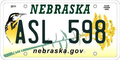 NE license plate ASL598