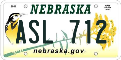 NE license plate ASL712