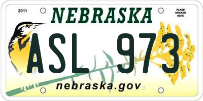 NE license plate ASL973