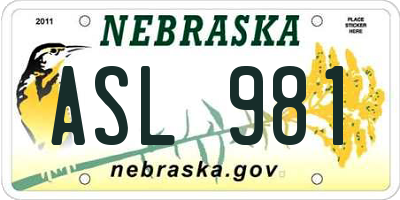NE license plate ASL981