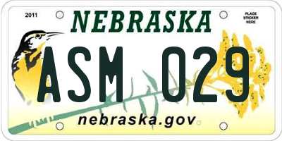 NE license plate ASM029