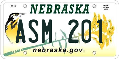 NE license plate ASM201