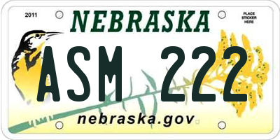 NE license plate ASM222
