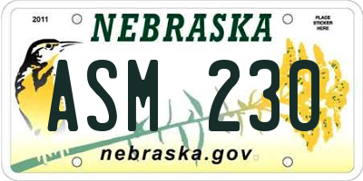 NE license plate ASM230