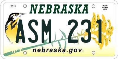 NE license plate ASM231