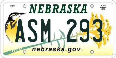 NE license plate ASM293