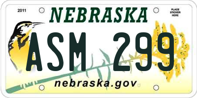 NE license plate ASM299