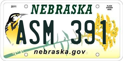 NE license plate ASM391