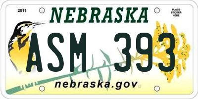 NE license plate ASM393