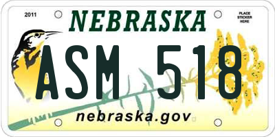 NE license plate ASM518