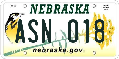 NE license plate ASN018