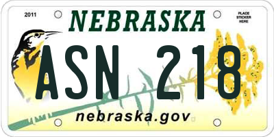 NE license plate ASN218