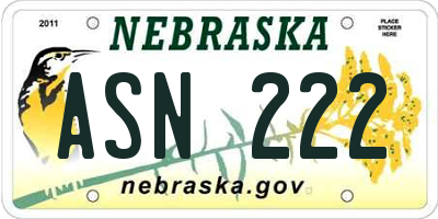 NE license plate ASN222