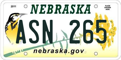 NE license plate ASN265