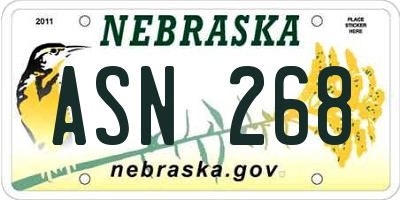 NE license plate ASN268