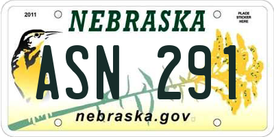 NE license plate ASN291