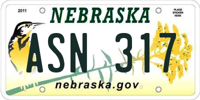 NE license plate ASN317