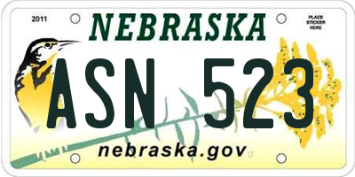 NE license plate ASN523