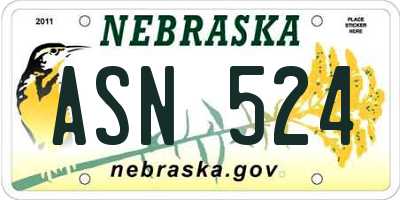 NE license plate ASN524