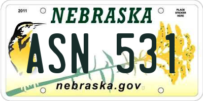 NE license plate ASN531