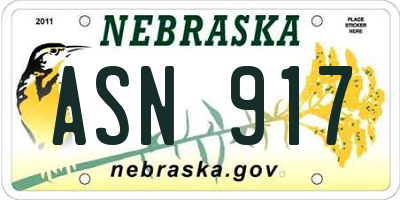 NE license plate ASN917