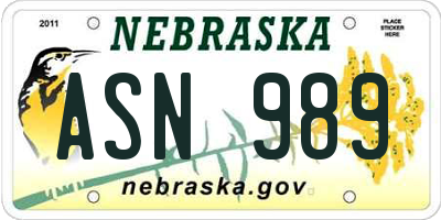 NE license plate ASN989